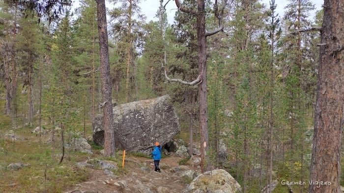 Ruta de senderismo Iglesia Pielpajärvi Finlandia-Comienzo de la ruta de senderismo