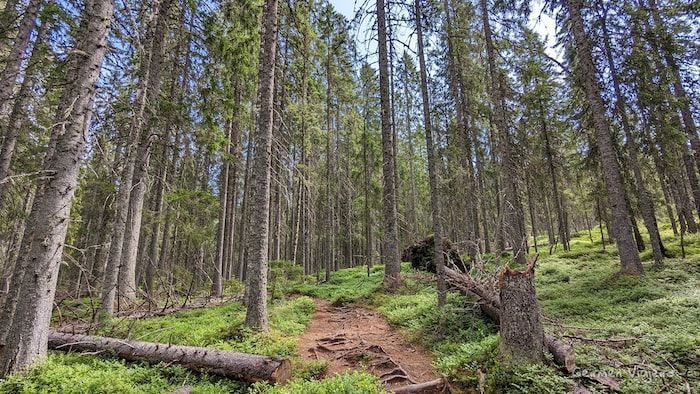 Ruta de senderismo Slåttdalsskrevan-Comienzo del sendero de la ruta de senderismo Slåttdalsskrevan
