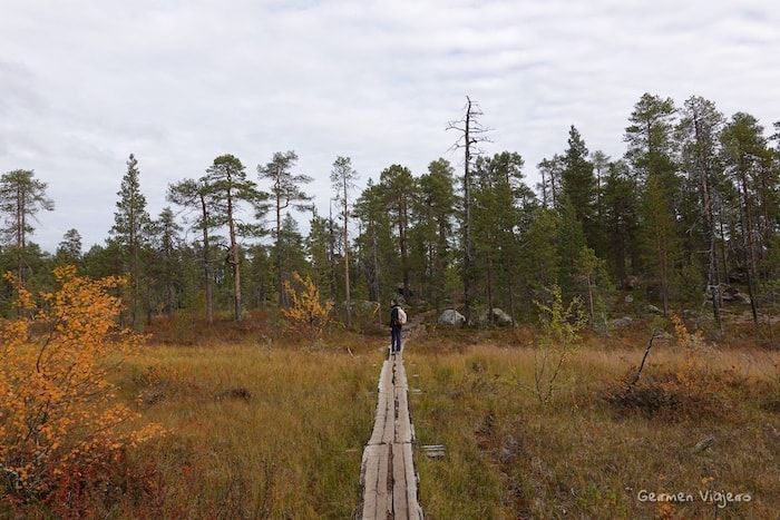 Ruta de senderismo Iglesia Pielpajärvi Finlandia-Tramo de la ruta con pasarelas