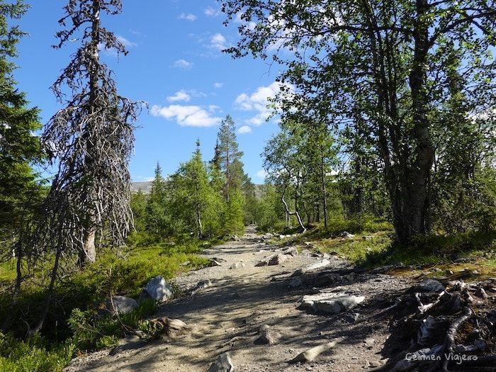 Ruta de senderismo Varkaankurupolku, PN Pallas-Yllästunturi-Tramo del sendero Varkaankurupolku-