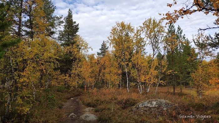 Ruta de senderismo Iglesia Pielpajärvi Finlandia-Tramo de la ruta de senderismo a la Iglesia Pielpajärvi