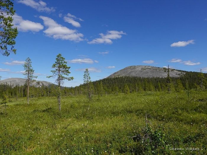 Ruta de senderismo Varkaankurupolku, PN Pallas-Yllästunturi-Vista desde el comienzo de la ruta Vakaankurupolku