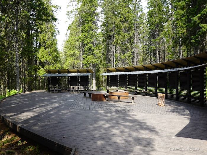 Ruta de senderismo Slåttdalsskrevan-Zona de barbaocas de la entrada oeste de la ruta de senderismo Slåttdalsskrevan (1)
