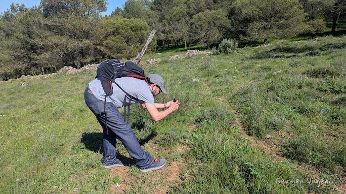 zafra y alrededores en autocaravana